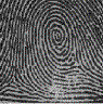 Fingerprint