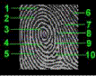 Numbered Fingerprints