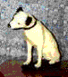 Little Dog