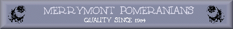 mmbanner.gif (26118 bytes)