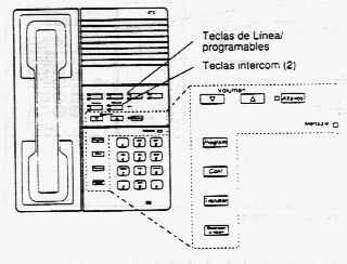 Teléfono 6T