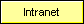  Intranet 