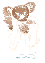 koala_baptism.gif - 8.4 K