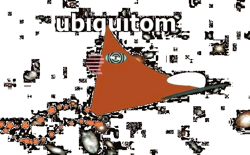 ubiquitom