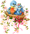 Love Birds