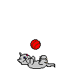 Cat playing with a ball