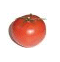veggies