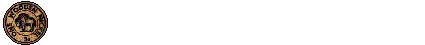 Software/Technical Review