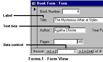 Form View