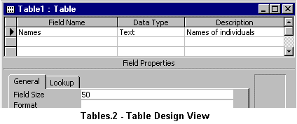 Table Design View
