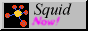 Logo Squid Now