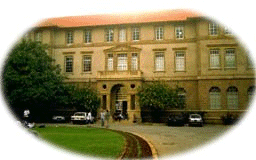 Bliss Building