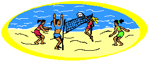 Volley Ball Game