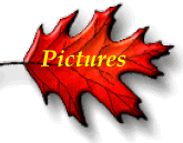 leafbutpics.gif (11353 bytes)