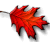 leafbutton.gif (2163 bytes)