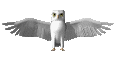 Bho volando, multigif