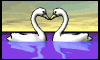 Cisnes, multigif 10 KB