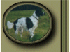 dog #2