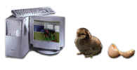Baner Pc