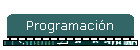 Programacin