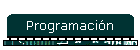 Programacin