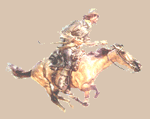 Chase
