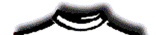 ltop1.gif (2705 bytes)