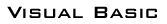 Visual Basic