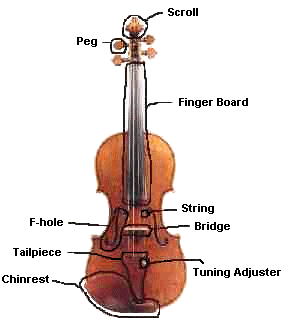 violin with parts labled