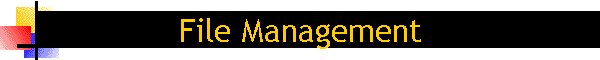 File Management