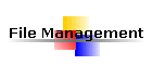 File Management