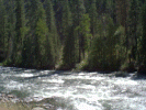 stevens3.GIF (227591 bytes)
