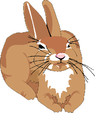 hase101.gif 400/478