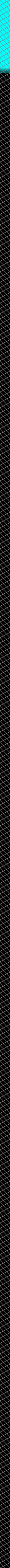 tex-g005.gif 20*3000 4,5KB
