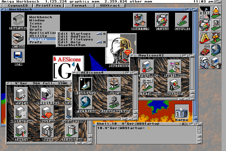 Figure 4: Note the Shell.10 Window Gadgets