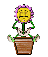 Minnie's Rainbow flower