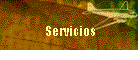 Servicios