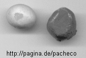 Massa Epoxi