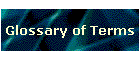 Glossary of Terms
