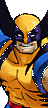 wolverine