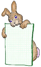 Bunny Poster