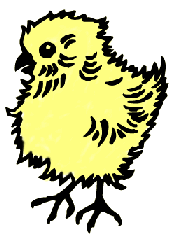 Chick