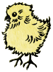 Chick