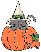 Halloween Cat