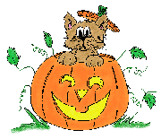 Halloween Cat