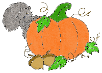 Halloween Squirrel