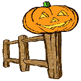 Halloween Cat