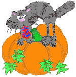 Halloween Cat and Pumpkin