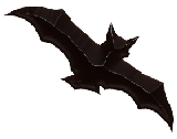 Halloween Bat