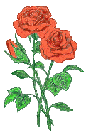 Valentine